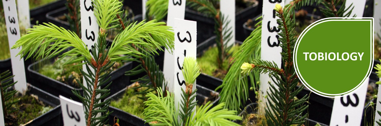 Tobiology_de's profile banner image