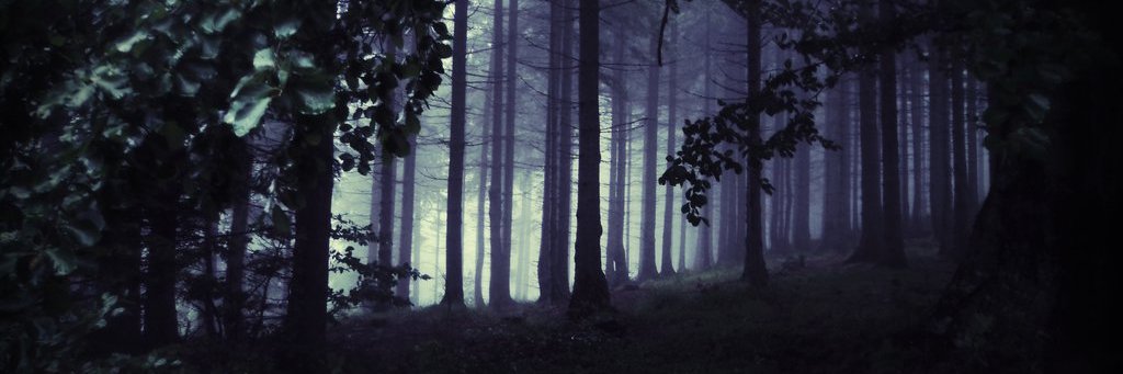 deZenz0's profile banner image