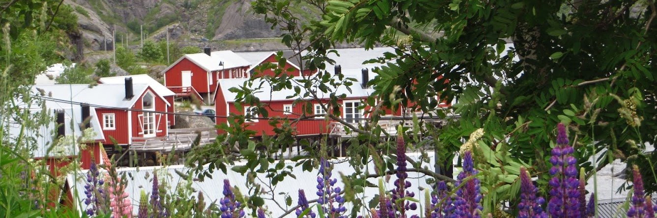 PierreMaren's profile banner image