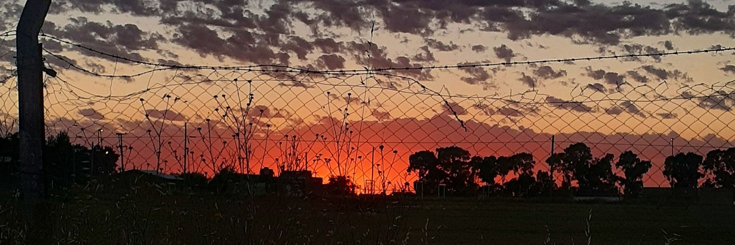 Braayanjavii's profile banner image
