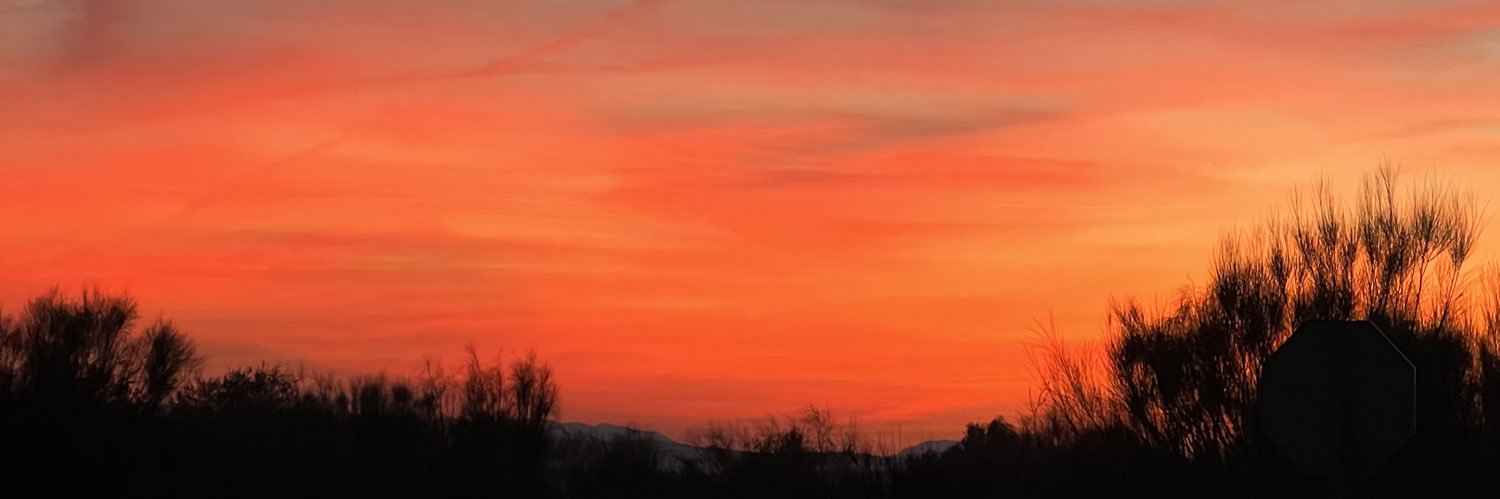 saritabs4's profile banner image