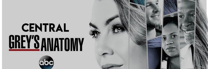 Central Grey's Anatomy banner