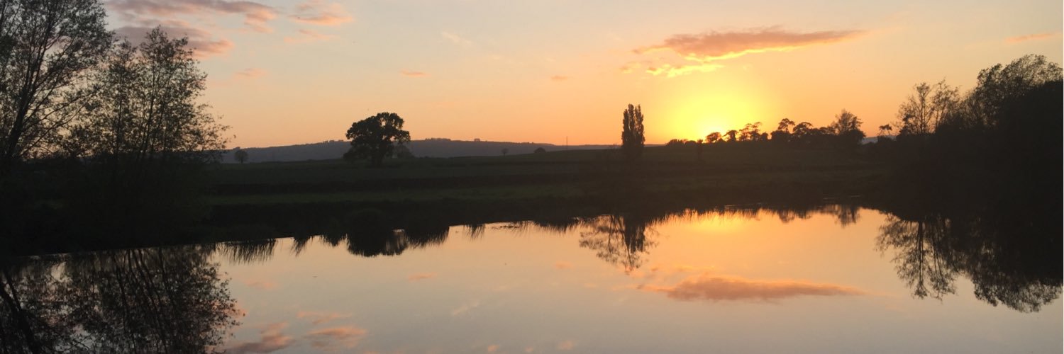 ritabyrne's profile banner image
