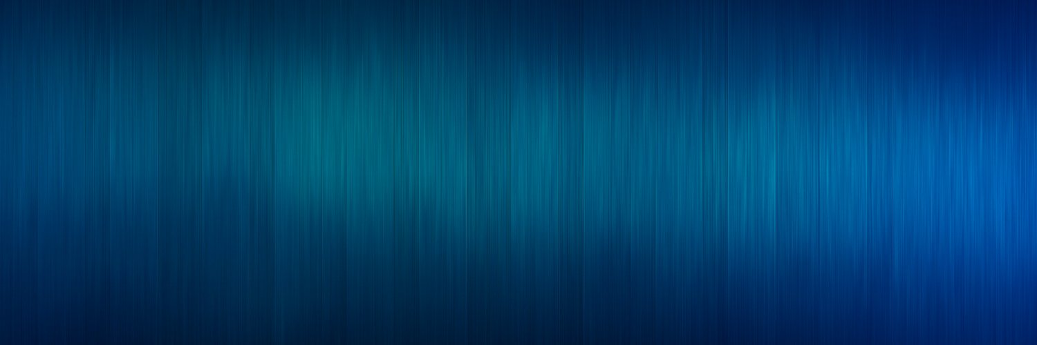 BitVenturesUSA's profile banner image