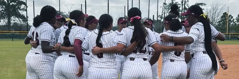 TSU Lady Tigers Softball's banner