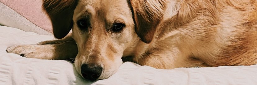 cassidygeni's profile banner image
