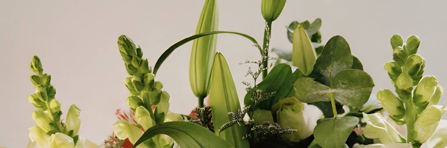 pltthg_'s profile banner image