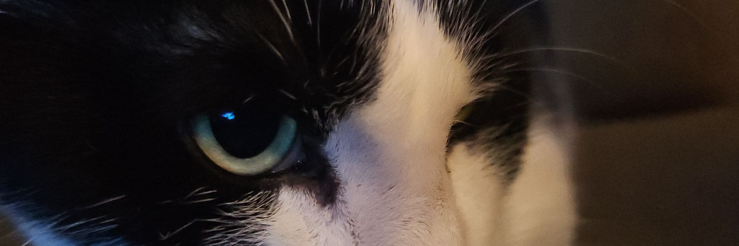 breeisntfunny's profile banner image