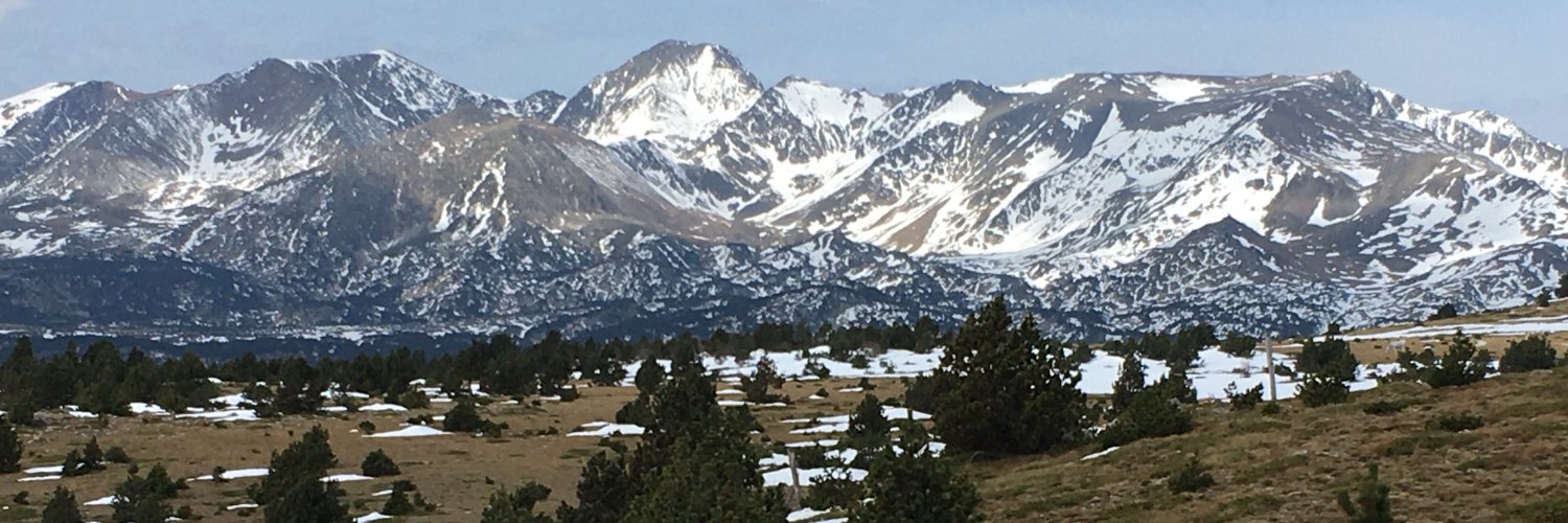 Vaca_Fuerte's profile banner image