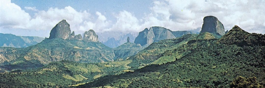 Azeb Mariam🌷 banner