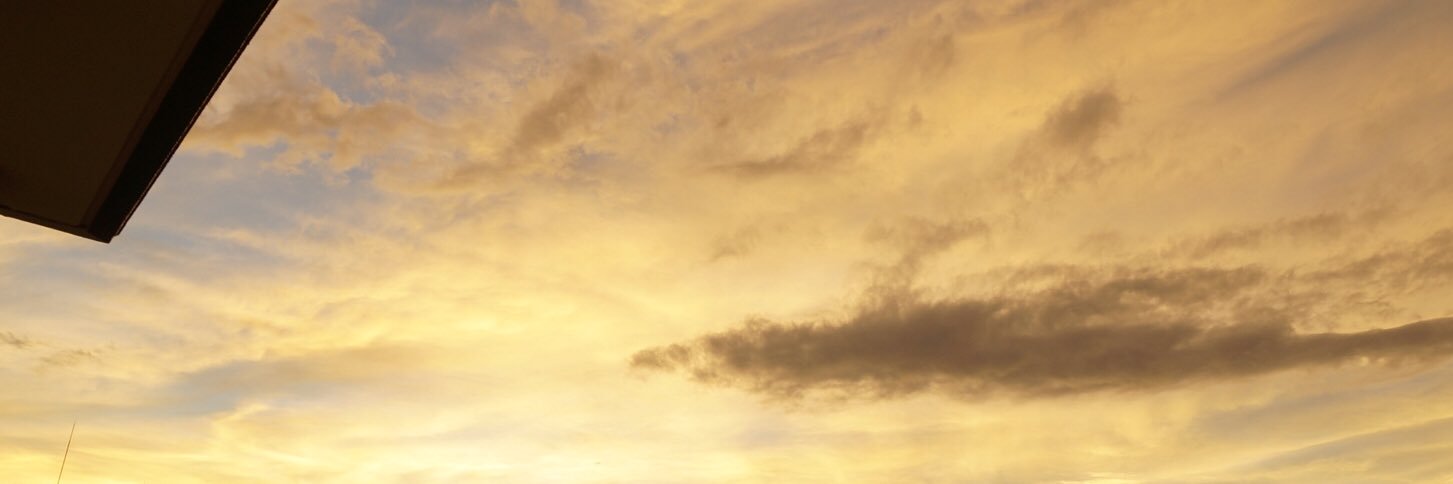 moonflowerk's profile banner image
