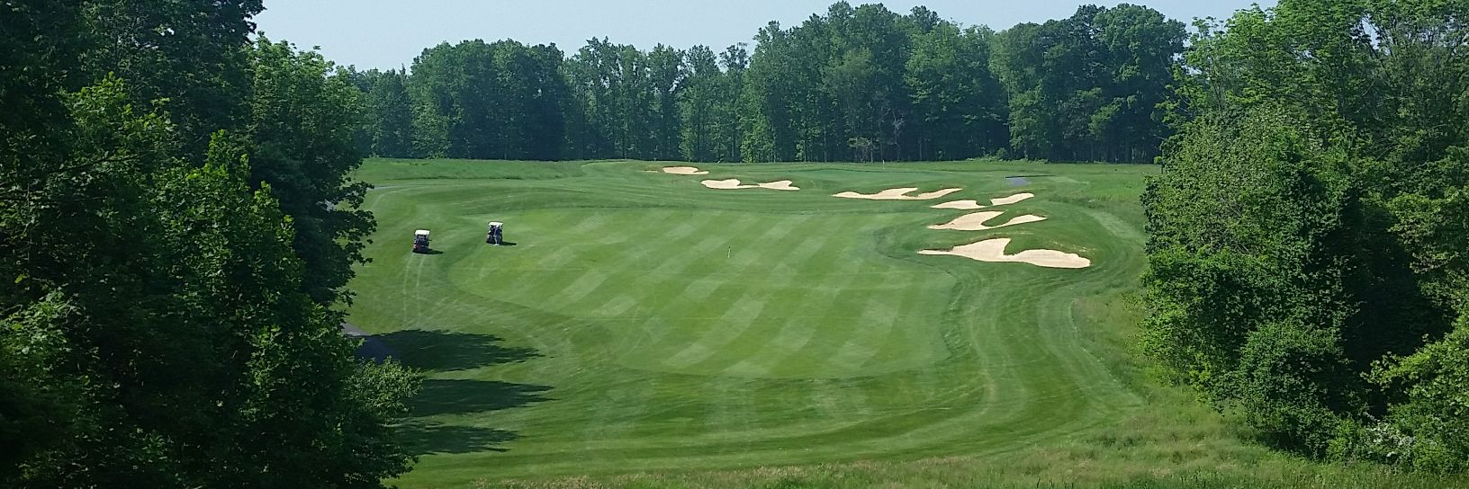 Logan Freeman banner