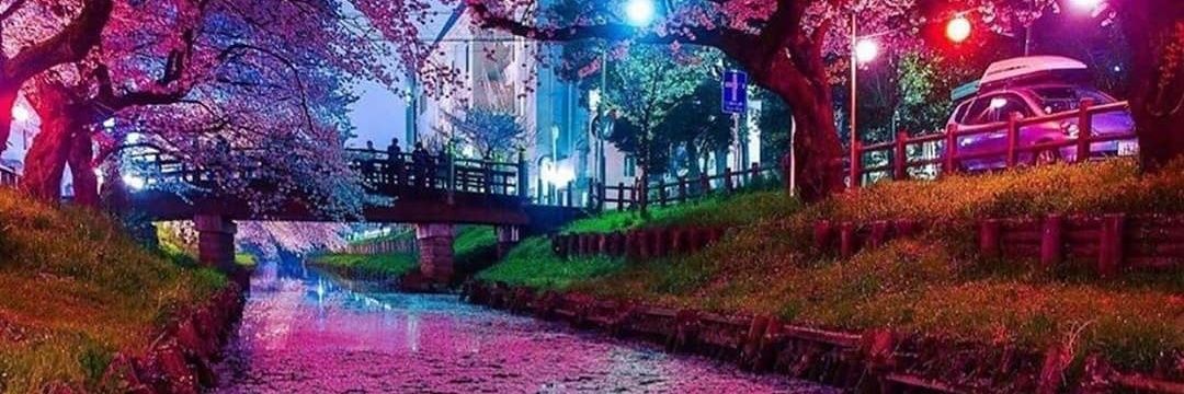 MichaelStirlin2's profile banner image