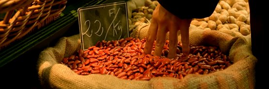 Amelie Tiersen banner