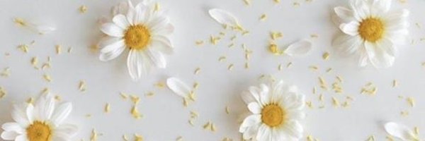 QD123O Profile Banner