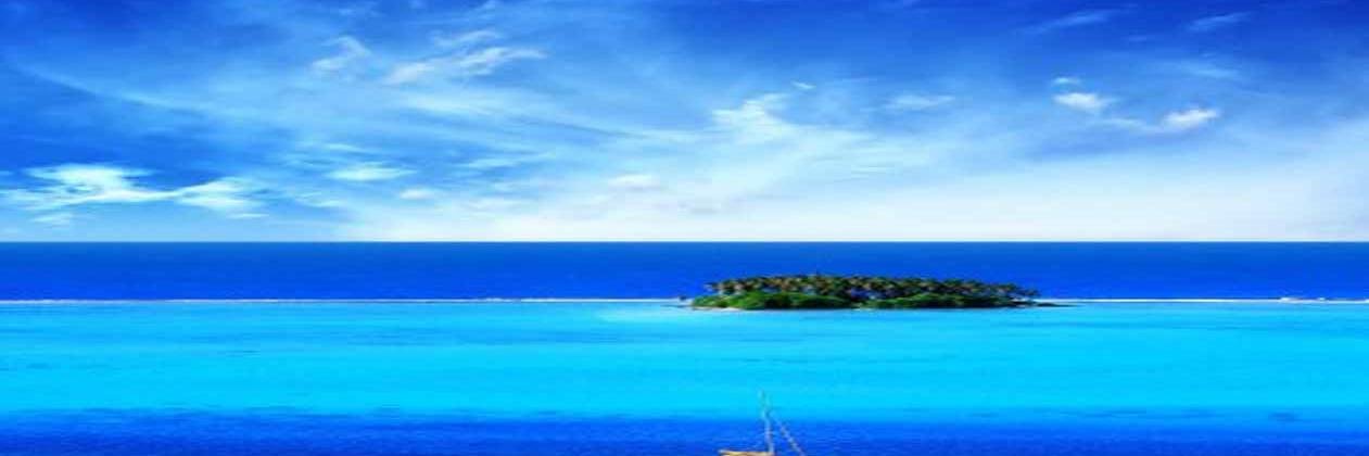 madelinemcalee's profile banner image