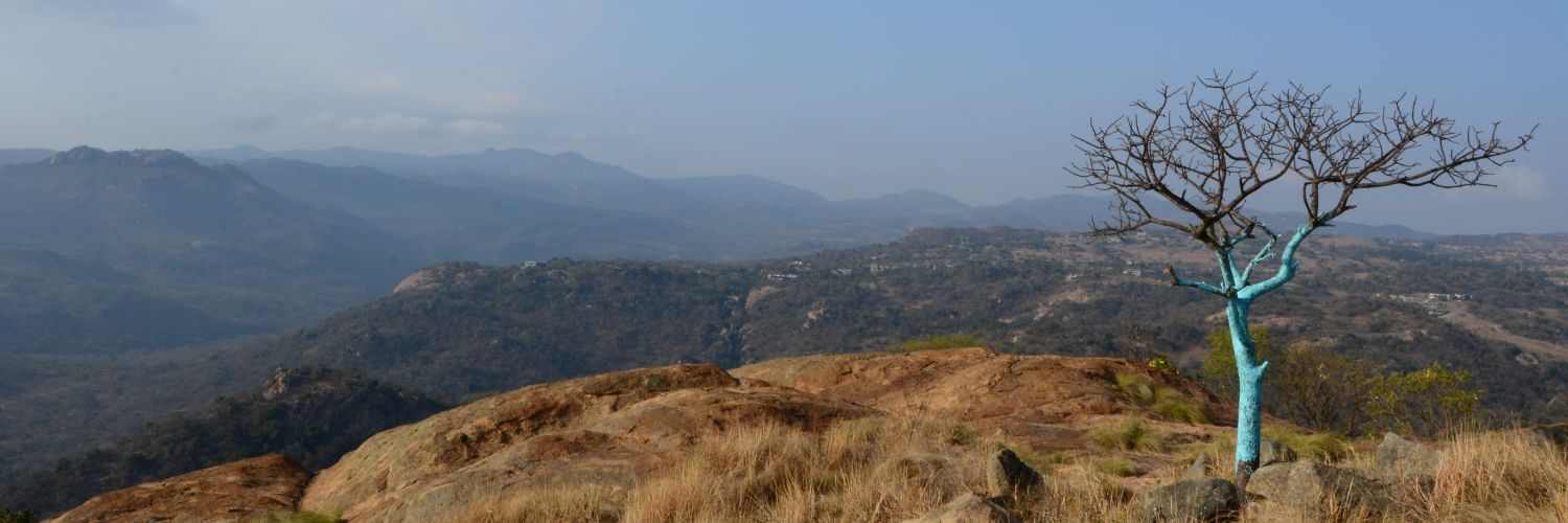 Papierazzi banner