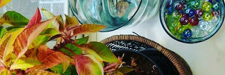 sora_manma's profile banner image