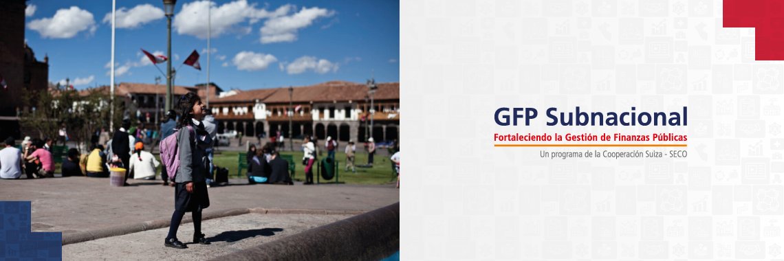Programa GFP Subnacional banner