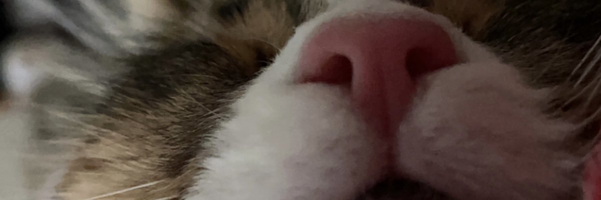 bgmbyrr's profile banner image