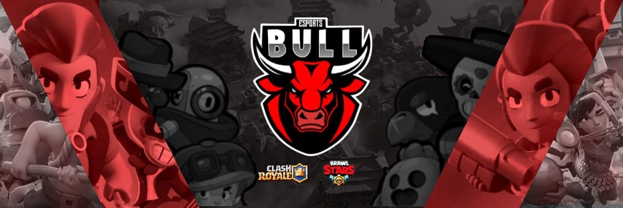 Bull eSports banner