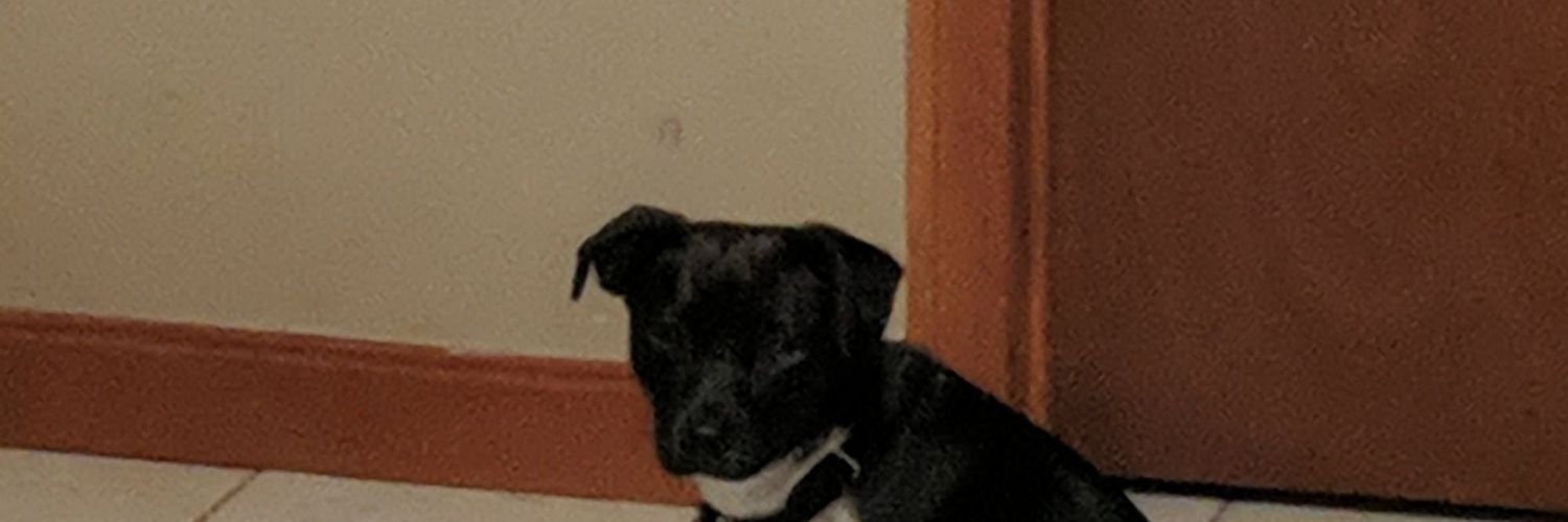 N banner