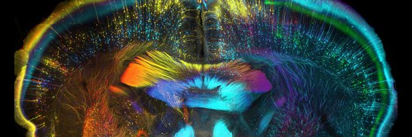 LTULab Profile Banner