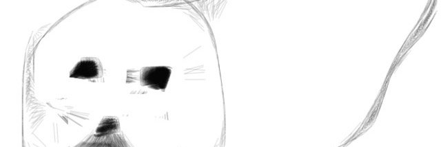 natcchi's profile banner image