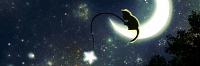 1219_chippi's profile banner image