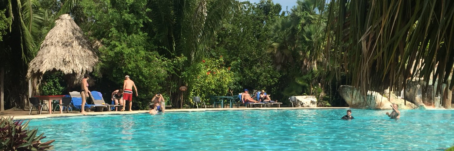 Christine Watts banner