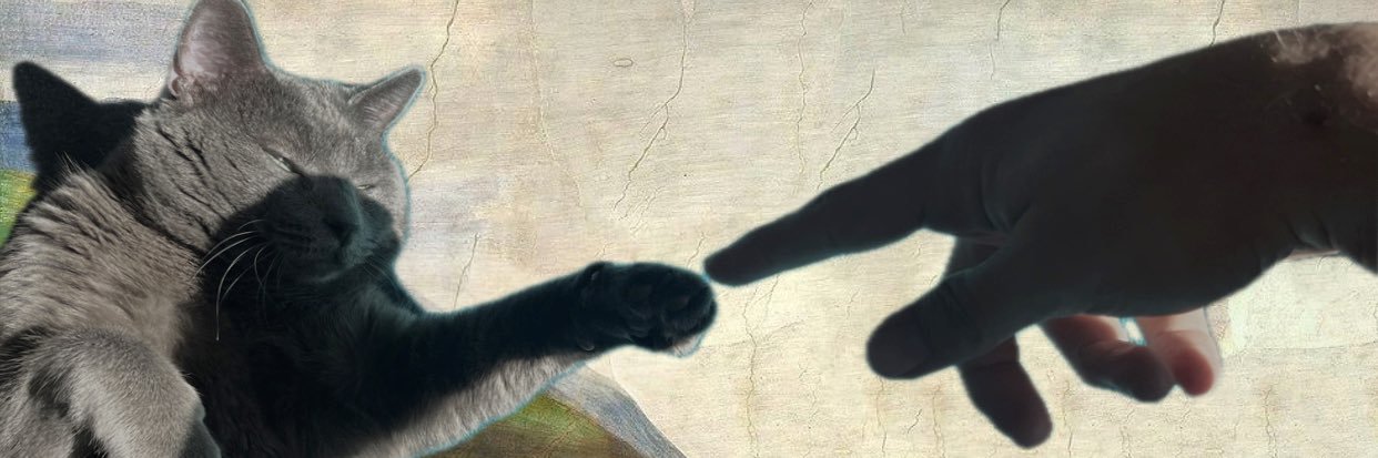 TangledLopes's profile banner image