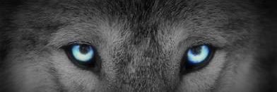 👀 banner