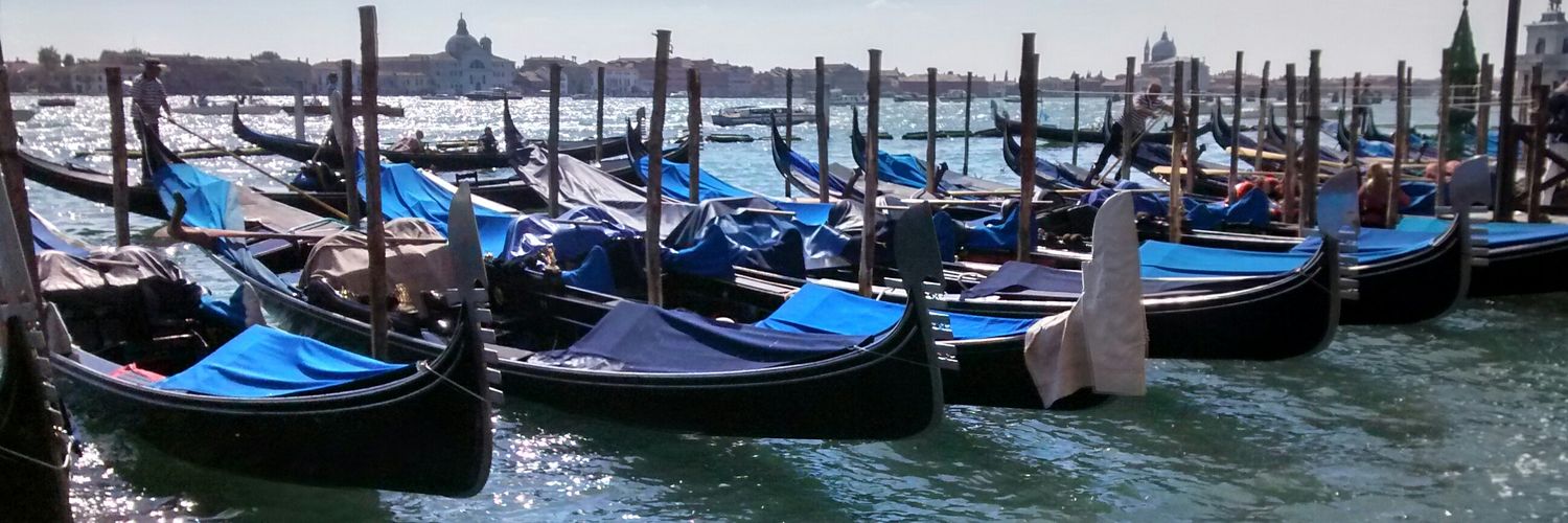 Sole Fortino banner
