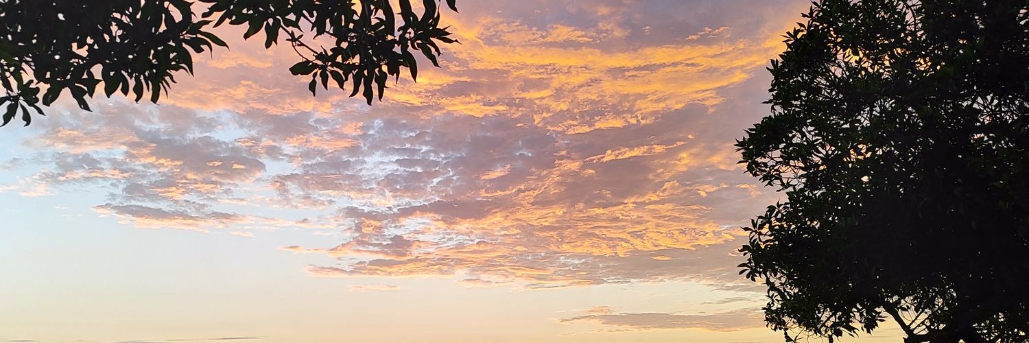 Sofi 👽🖤 banner