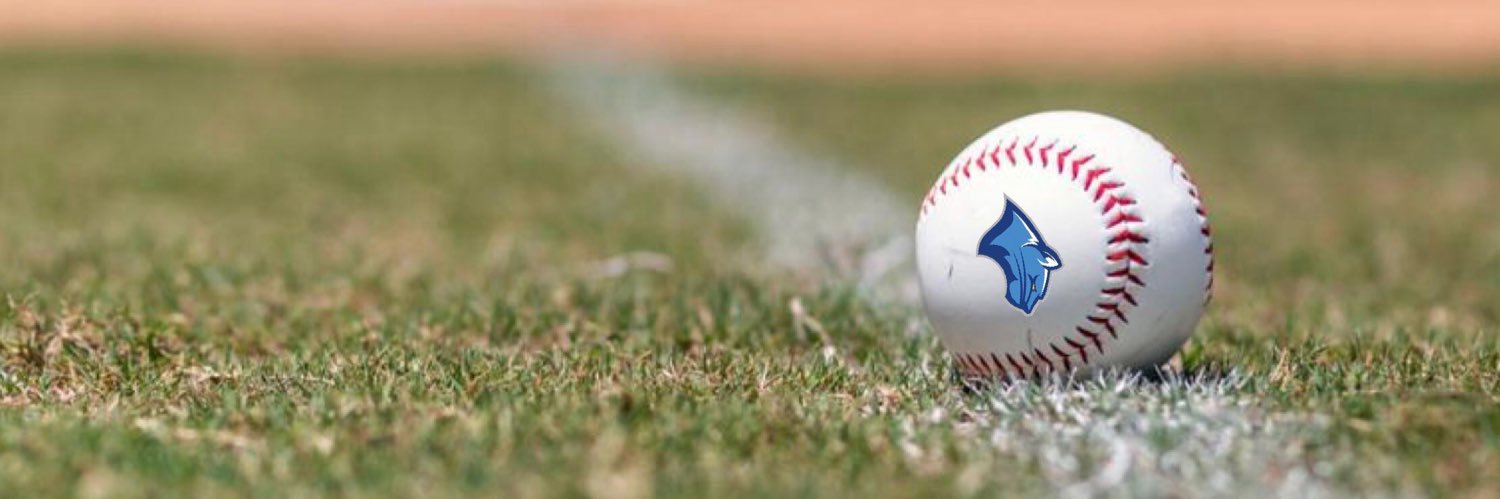 BaseballCalvary's profile banner image