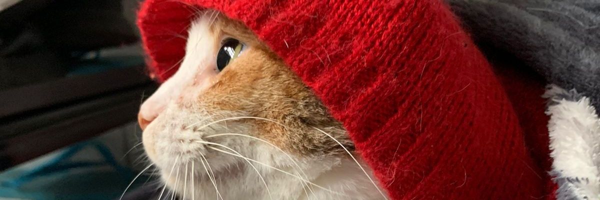 cidadekams's profile banner image