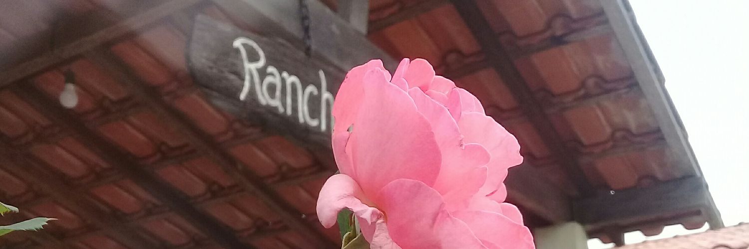 OGritoDeMinas❤🇧🇷🇯🇴 banner