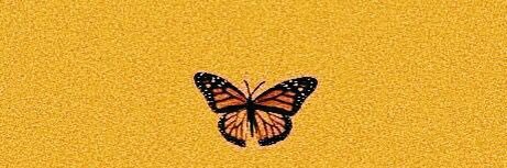 itsnotgracee's profile banner image