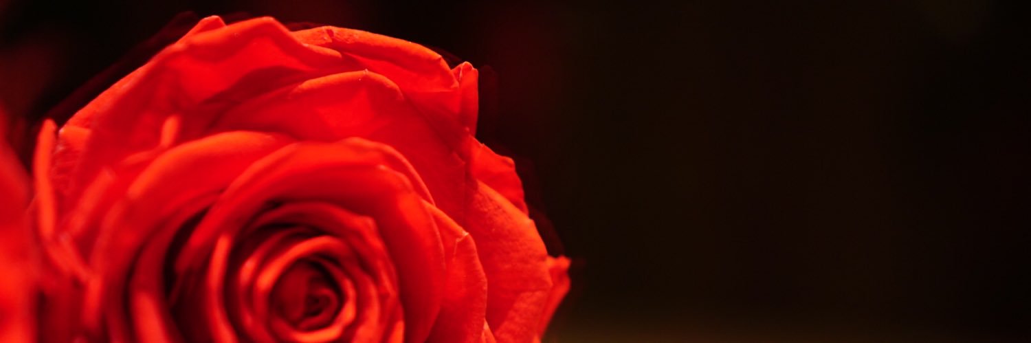 mnrxa's profile banner image