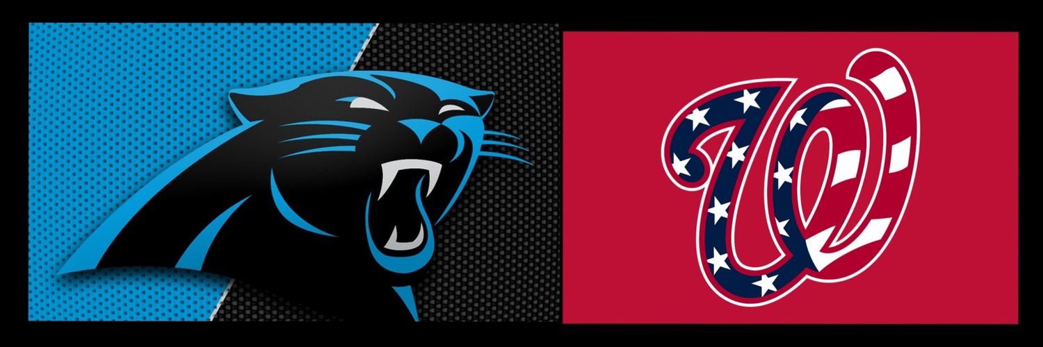 Nats & Panthers banner