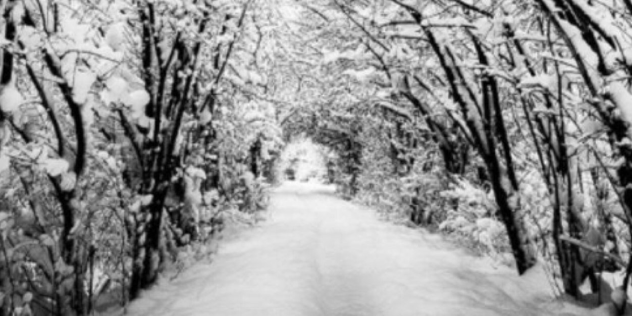 Lysands2's profile banner image