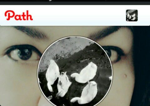 cinta3C's profile banner image