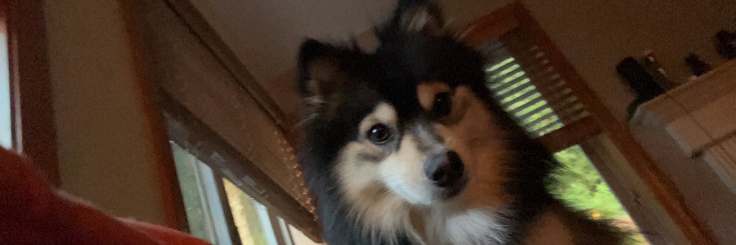 TroyBoyNelson's profile banner image