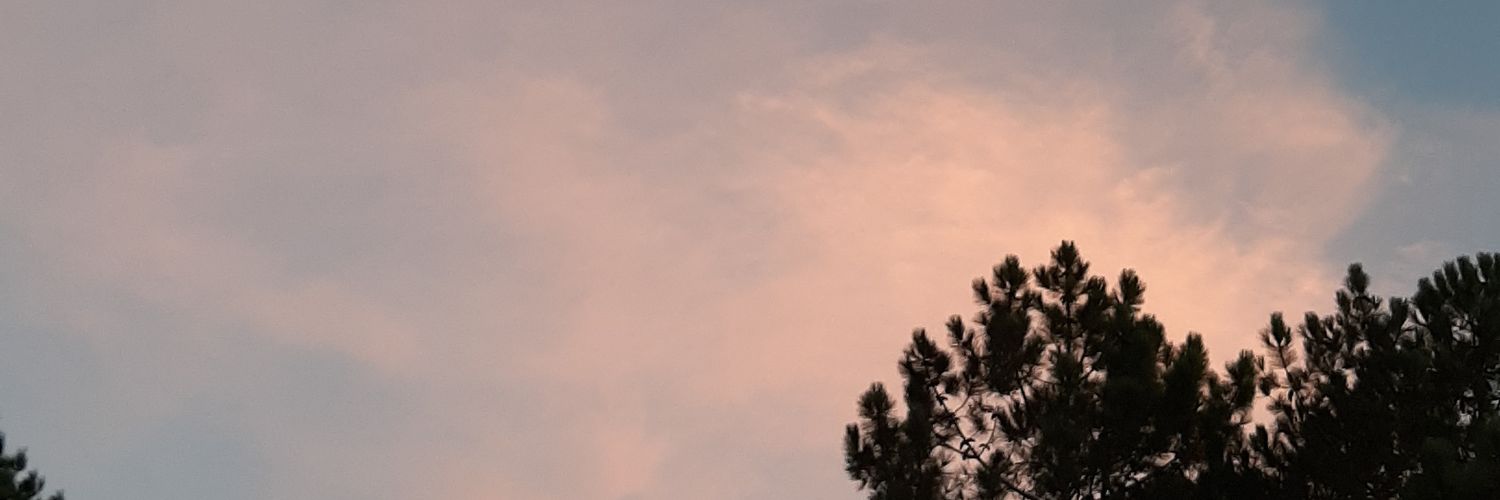 mariaperezcdns's profile banner image