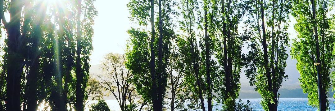 basilryan's profile banner image