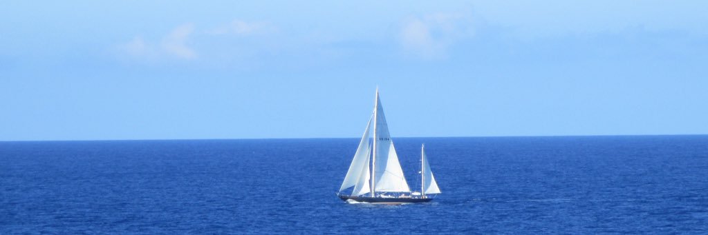 WhitterXBug's profile banner image