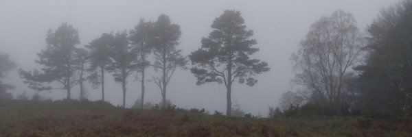 origamiwolf Profile Banner