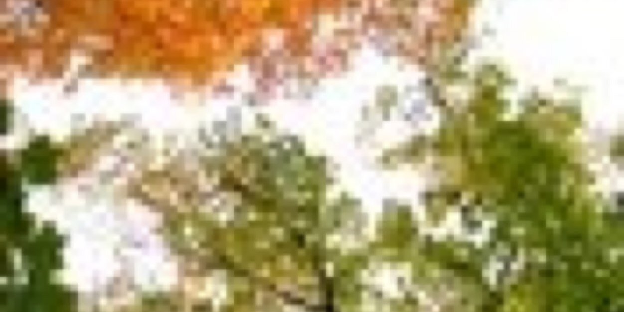 vikrambhutani's profile banner image