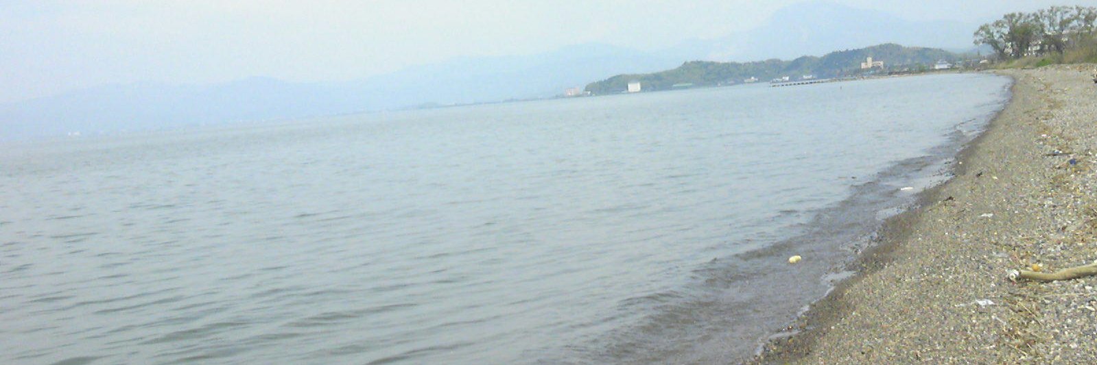 赤目の白うさぎさん banner