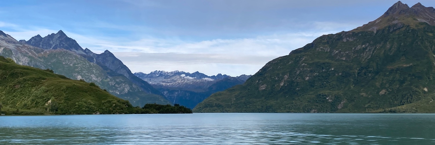 Annie Hatmaker, Ph.D. banner